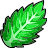 EBF5 Item Mint Leaf.png