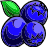 EBF5 Item Blueberries.png