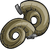 5CurlyHorns.png