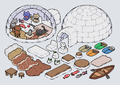 Igloo