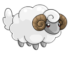 A Sheep