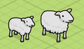 Test Sheeps